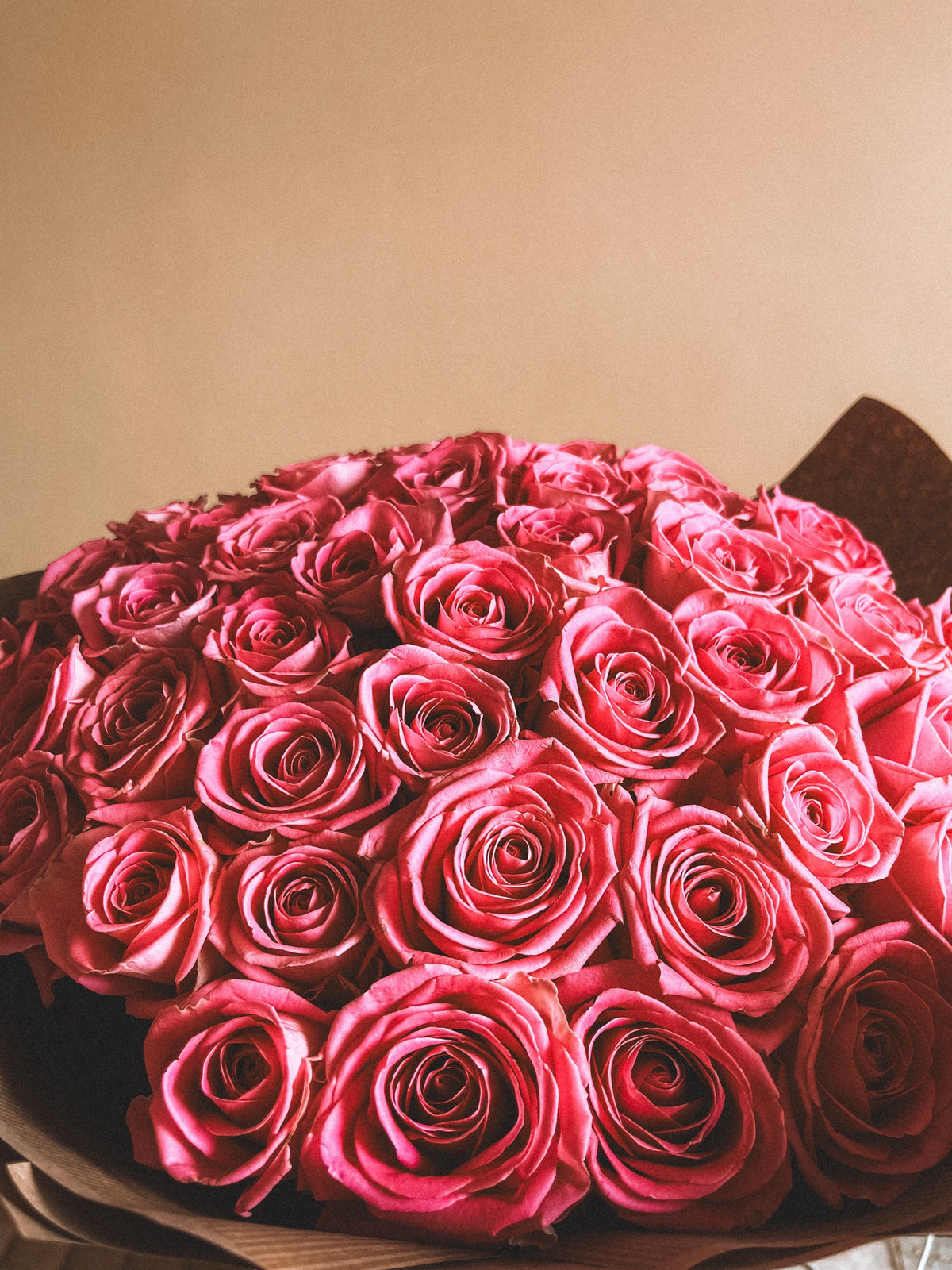 Premium Roses